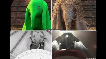 Dumbo 2019 Vfx breakdown and showreel