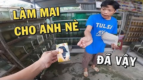 Làm mai CHỊ GÁI cho Ông Chủ Trại Cá Betta và cái kết