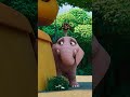 Show Danger | Jungle Beat: Munki and Trunk | Kids Cartoon 2023 #shorts