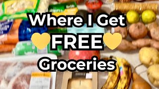 Free Food Near You Real Ways to Stay Fed