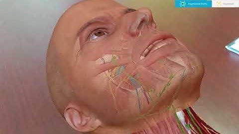 NEXTREALITY: Human Anatomy Atlas 2018 in Augmented Reality