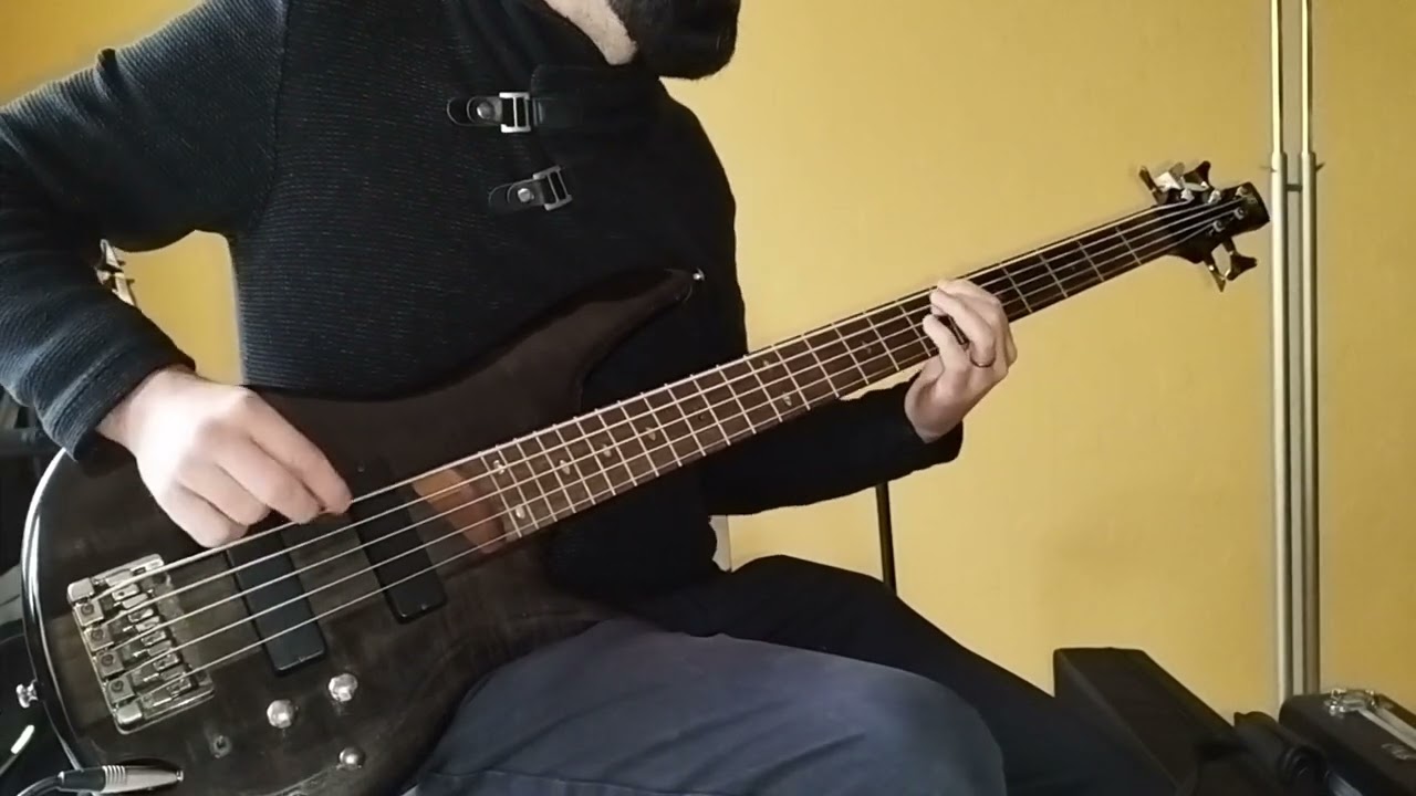 Type O Negative Love You To Death bass cover Ibanez sr 705