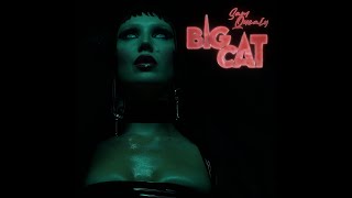 SAM QUEALY - BIG CAT ( Official video)