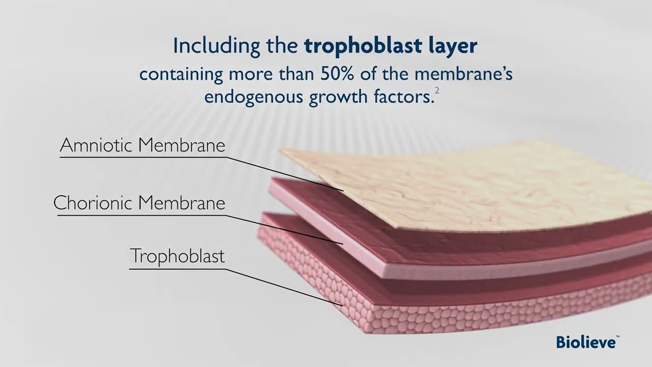 Biolieve Decellularized Placental Membrane