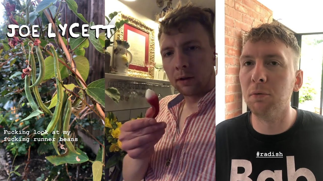 Mummy's Garden Update | 2019 Edition | Joe Lycett