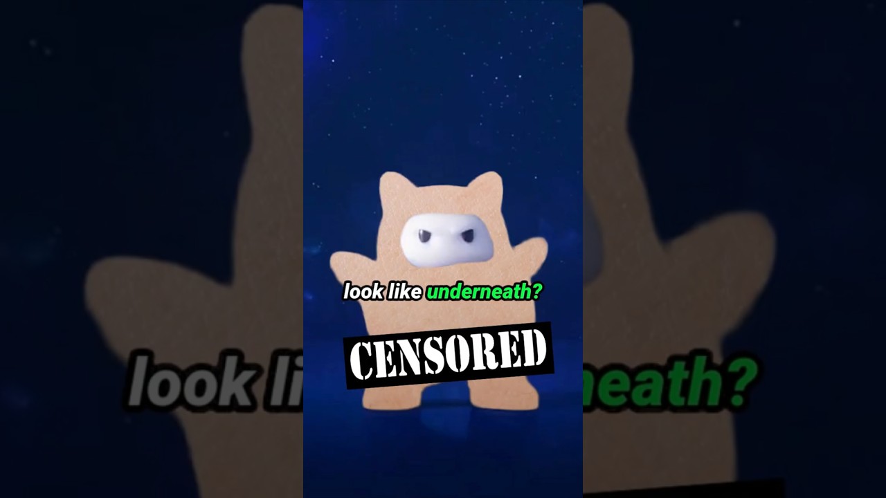 WHAT ARE NINJIS?!?!?!?