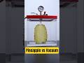 Pineapple vs Vacuum #physics #vacuum
