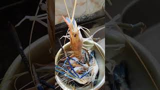 Life is too short to skip the prawns. Here is how I make mine! 🦐