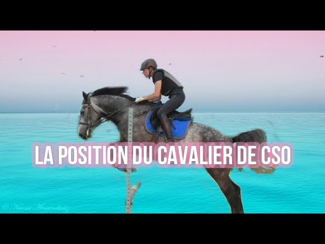 Comment avoir une bonne position à cheval ? - Petit Galop