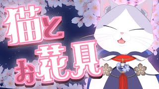 【 #お花見 #初見歓迎 #雑談 #飲酒 】夜桜見ながら華金乾杯で雑談する猫！！！【#新人VTuber #タマ公式配信 #お～いタマ公 #絣華ミタマ 】