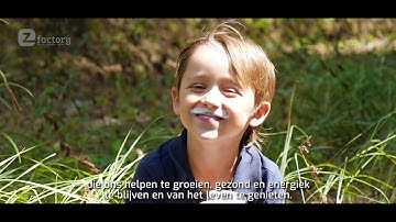 A tribute to FACTORY HEROES!