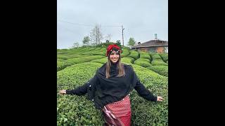 Karadeniz Potpori | Arabesk Tribe (Official Video)