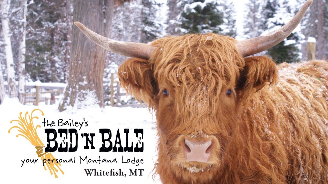 Bailey's Bed N Bale Vacation Home in Whitefish, Montana YouTube