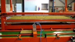 Williames, automatic tray transfer & growing frame handling