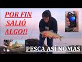 PESCA de BOGA en pleno INVIERNO!!!! (Pesca y Liberación)