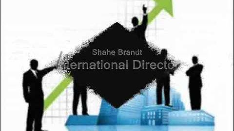 Focus Dynamics Consulting Intro Video