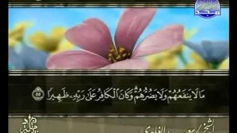 القران الكريم|الجزء التاسع عشر (19)|الشيخ سعد الغامدى