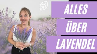 Lavendel - Herkunft, Wirkung und Anwendung ?