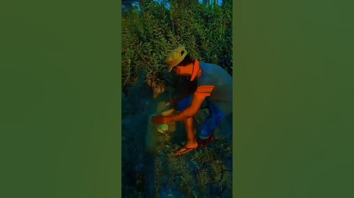এই ছেলেটি ভারতের সবচেয়ে বড় সাপ রাসেল ভাইপার কে ধরে ফেলল _তারপর তার সাথে যা গটে #shorts #viral