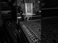 Untitled video