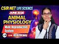 Male Reproductive System | Animal Physiology | CSIR-NET LIFESCIENCE #apnasapnajrf