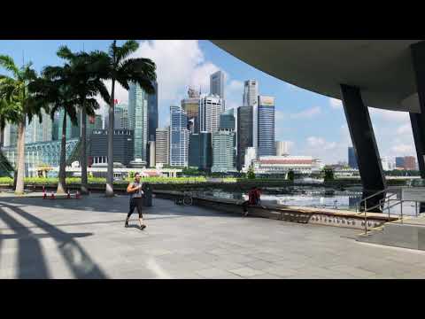 Video: Wie Man Eine Singapur-Rolle Macht