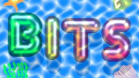 BITS#10001 "Swimming Pool Deco", Computer Animation