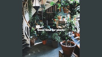 Romantic Backdrops for Brave Keynotes