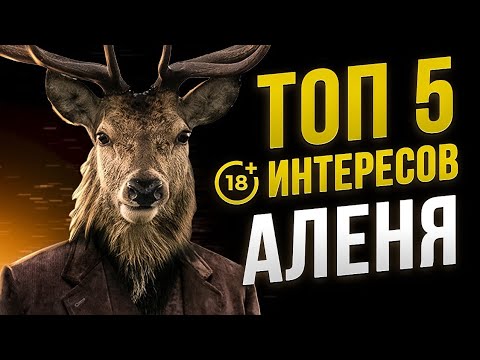 ТОП-5 интересов Аленя в этой жизни