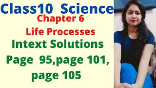Class10 Science Chapter 6 Life Process Intext Questions Page No 95, page No 101,page No 105 screenshot 1