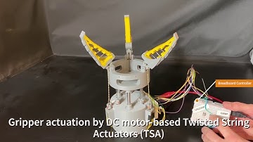 Compliant Artificial Muscle Actuated Grasper - RoboSoft 2020