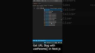 How to get URL Slug with useParams method in Next.js