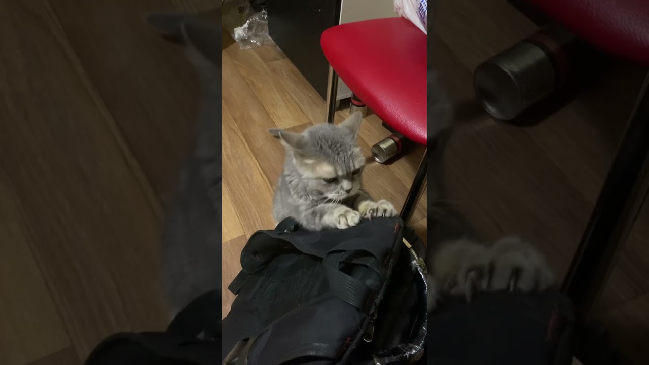 Плохо когда Тебя - Двое.