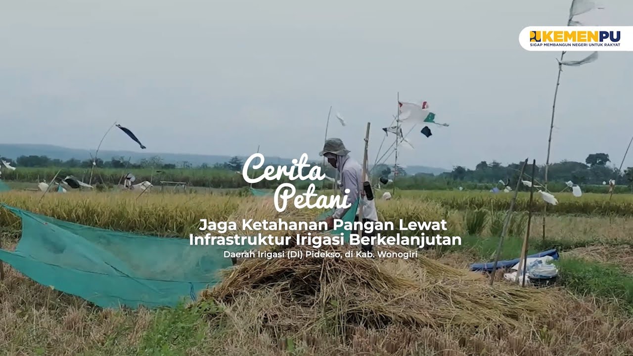 Cerita Petani, Jaga Ketahanan Pangan Lewat Infrastruktur Irigasi Berkelanjutan