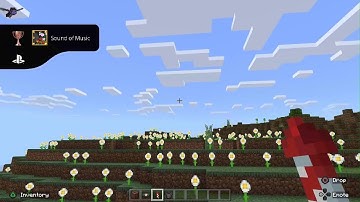 Minecraft sound of music trophy