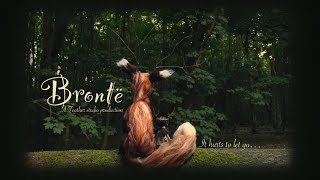 ‘Brontë’ Award Winning Stop Motion Short Film 