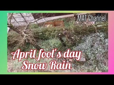 April Fool's Day Snow rain - YouTube