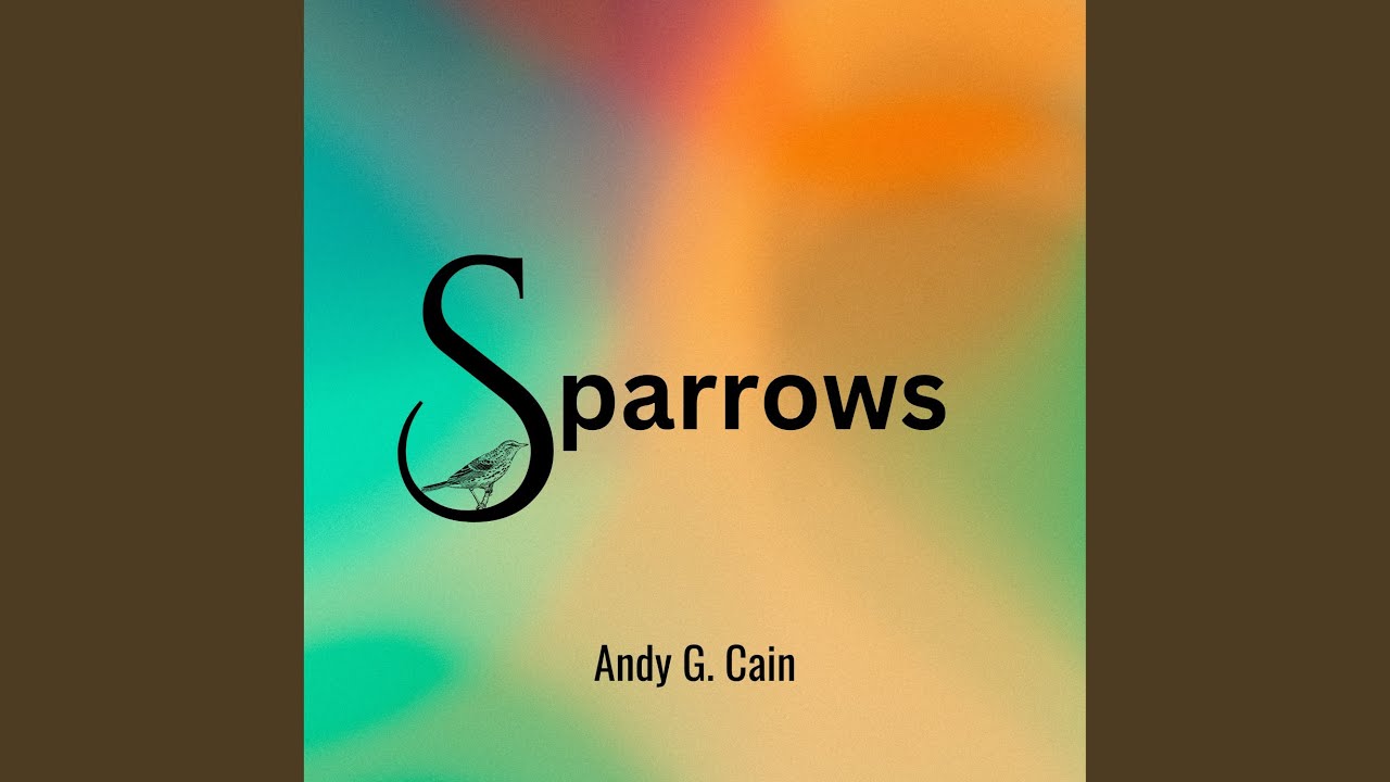 Sparrows auf YouTube ansehen Sparrows auf YouTube ansehen