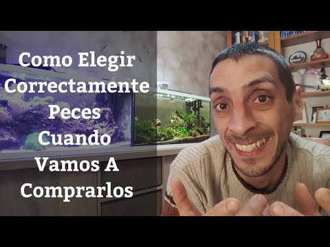 Video: Cómo elegir peces de acuario saludables