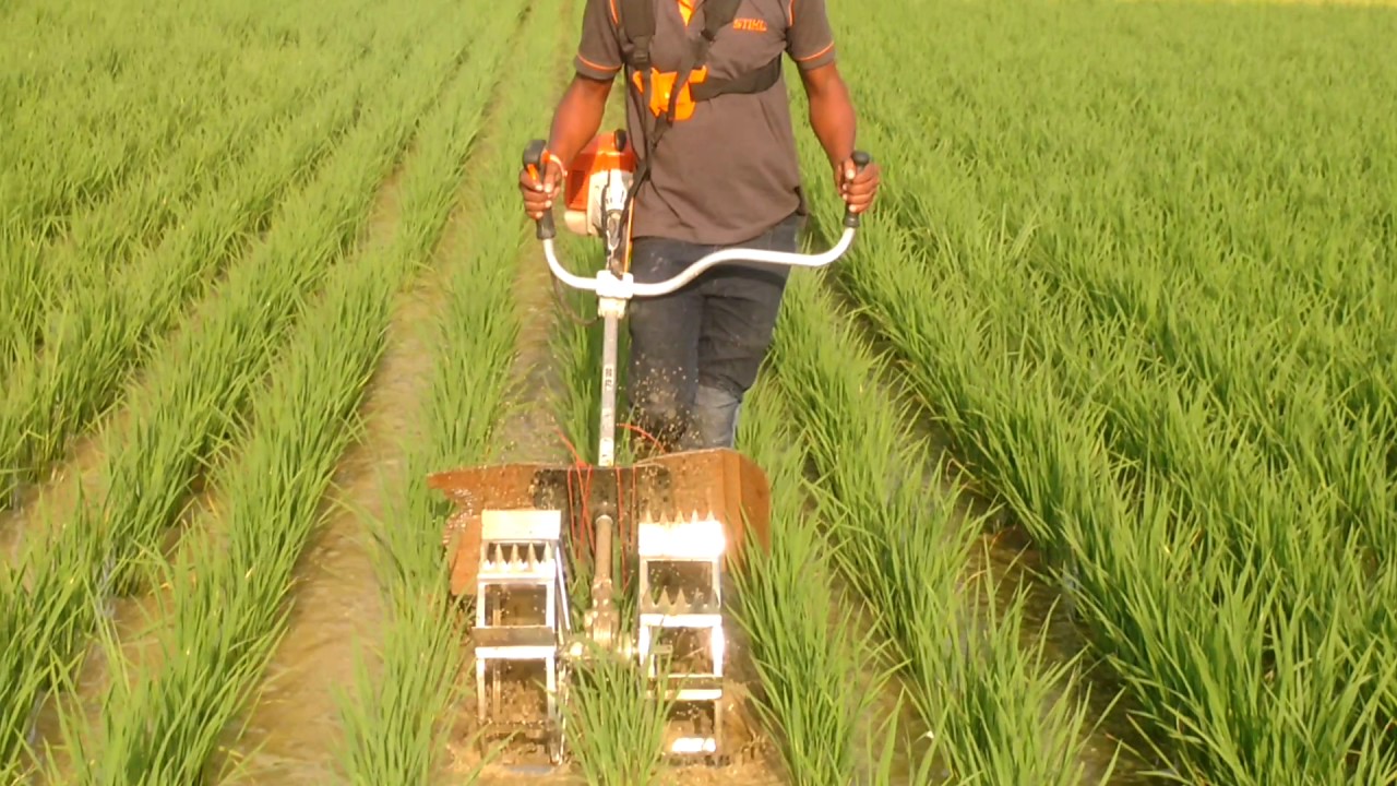 paddy weeder surya enterprises - YouTube