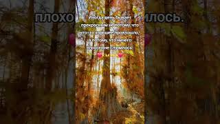 Хорошего дня/отличного настроения🫠🫠🫠 #цитатыосмысле #любовь #хорошегодняотличногонастроения