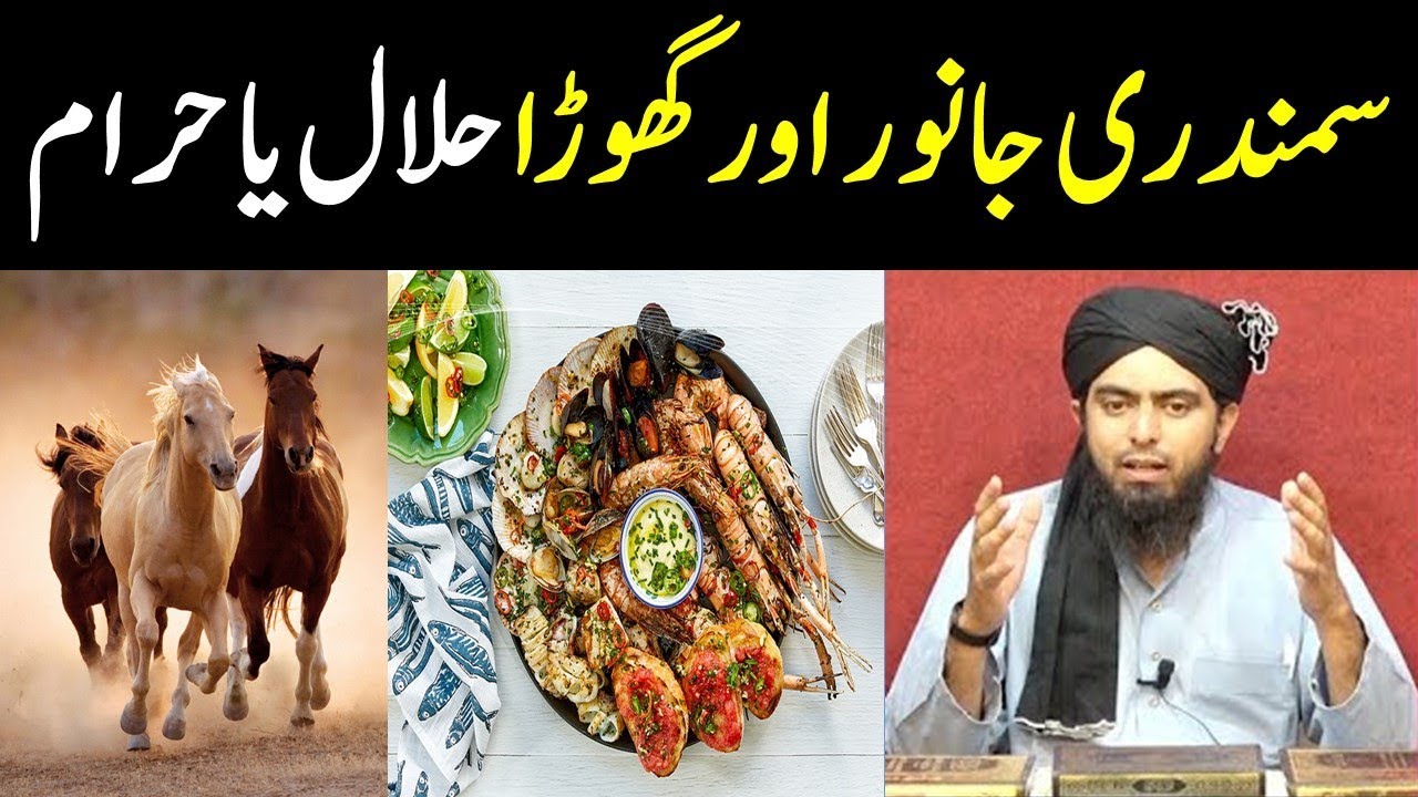 Samundari janwar aur Sea Food aur Ghora Halal  ya Haram  by 