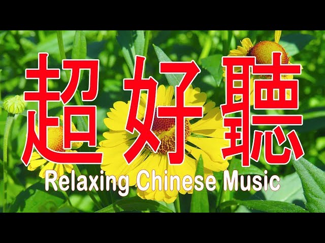 超好聽🌹30 首你一定喜歡的恰恰音樂合集【悅耳動聽 輕鬆愉快 值得收藏 】 輕音樂 Relaxing Chinese Music class=