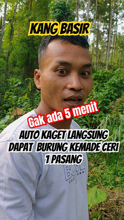 iseng pikat burung pake MP3 bersama kang Basir & kang Asep.