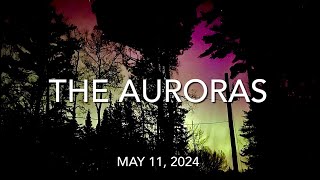 The Auroras