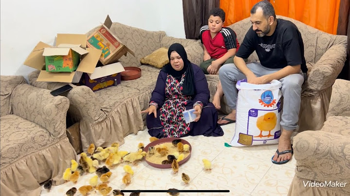 ام جني المضطر يركب الصعب وانا شفت الصالح ليا وجريت وراه نسبنا بقي من الهبد دا ونخلينا في شغلنا احسن