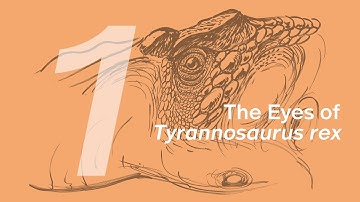 Wilson the Tyrannosaurus rex 1: Eyes | Learn to Draw Dinosaurs with ZHAO Chuang