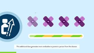 What are COVID 19 vaccine booster shots?