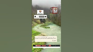 heart touching tilawat ll من سورةالقلم ll@softquran1458