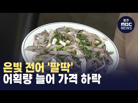 [뉴스데스크]<strong>은빛</strong> 전어 &amp;#39;팔딱&amp;#39;...어획량 늘어 가격 하락